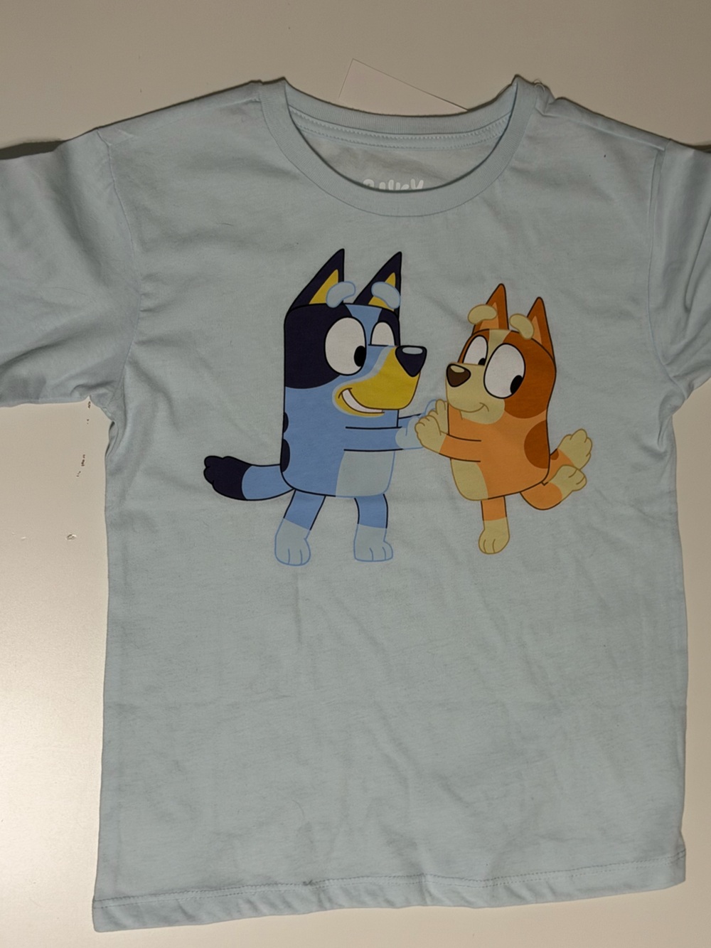 Bluey and Bingo Dancing T-Shirt